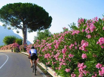 Bike Tour along Sorrento Coast