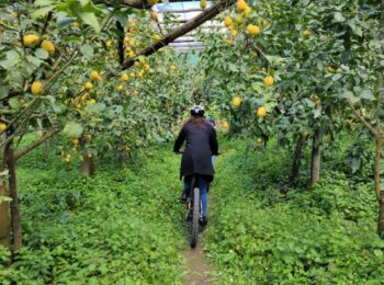 Bike Tour & Limoncello Tasting in Massa Lubrense