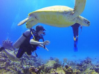 Diving & Snorkeling in Sorrento Peninsula