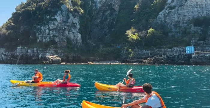 Kayak Tours